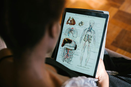 Homem olhando ilustração detalhada do corpo humano em um tablet